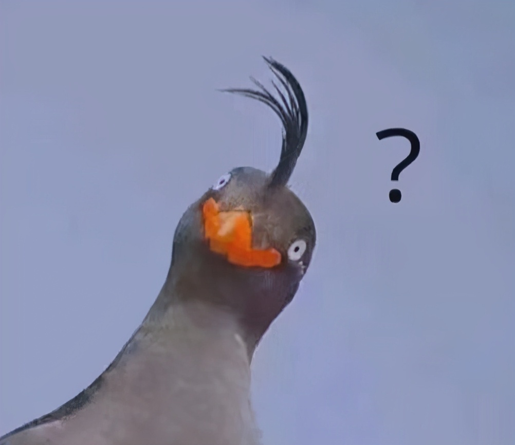 单日*放播**量破亿、被人民日报表扬的《斗罗大陆》到底质量如何？