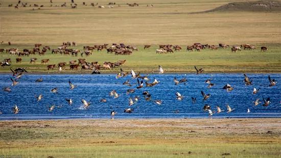 塔城最好旅游季节,塔城好去处