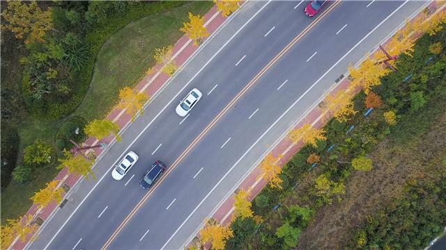8月25日渭南文化旅游资讯微报组图,11月1日渭南文化旅游资讯微报组图