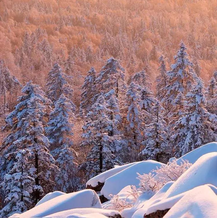 黑龙江旅游小众胜地,黑龙江值得旅游的10个地方