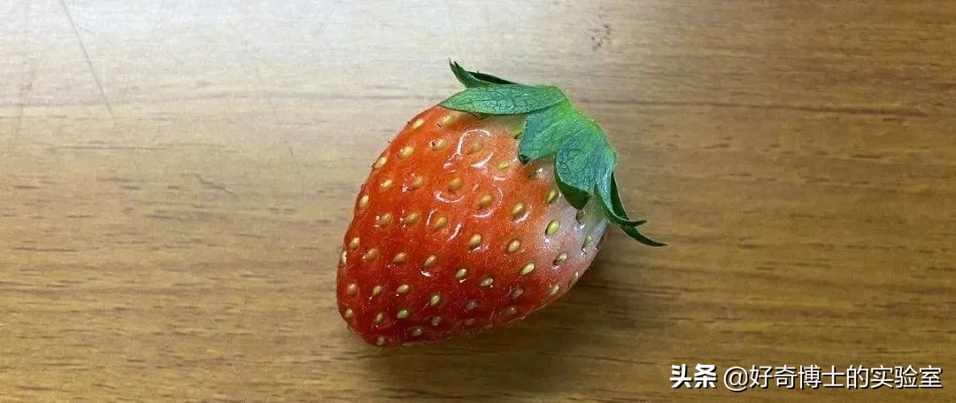 撸过猫撸过狗但你撸过“鱼”吗？