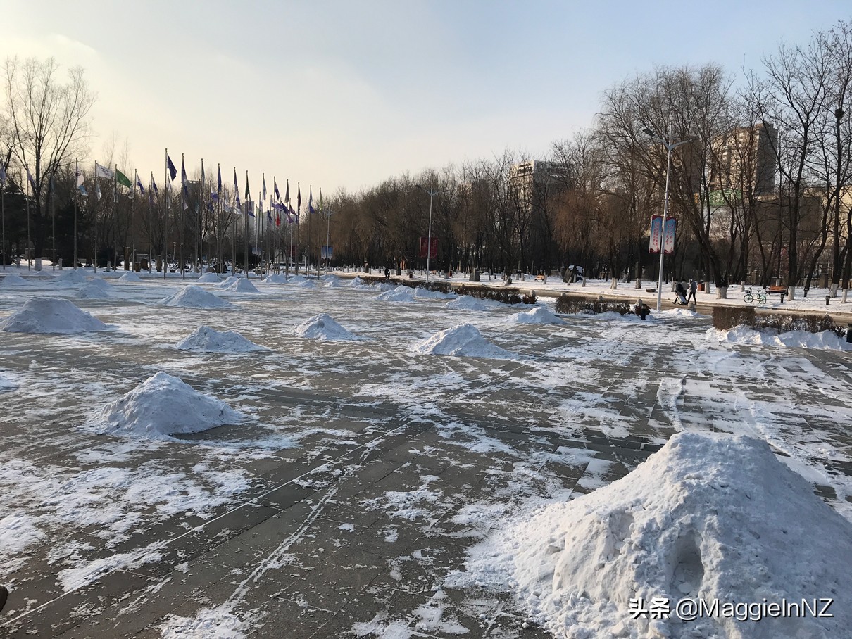 新西兰工签最新流程,生活日记新西兰