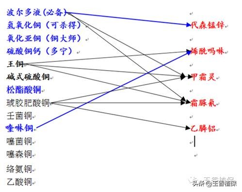 葡萄霜霉病终极用药方案