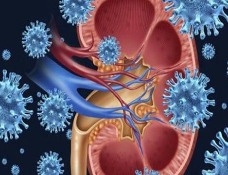 肾病综合征合并肺部感染,肾病综合征合并结核怎么治疗