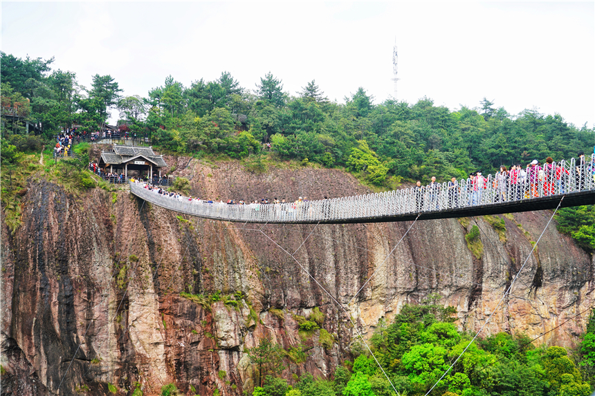 浙江有一个神奇山,浙江山里蝌蚪
