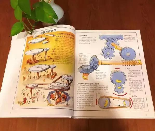 被封神的DK儿童科普书籍，到底哪些值得读？建议家长入手前看这篇