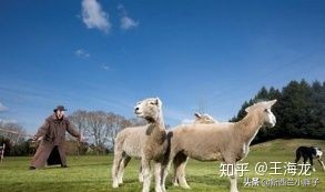 你以为的新西兰,一生之中的新西兰