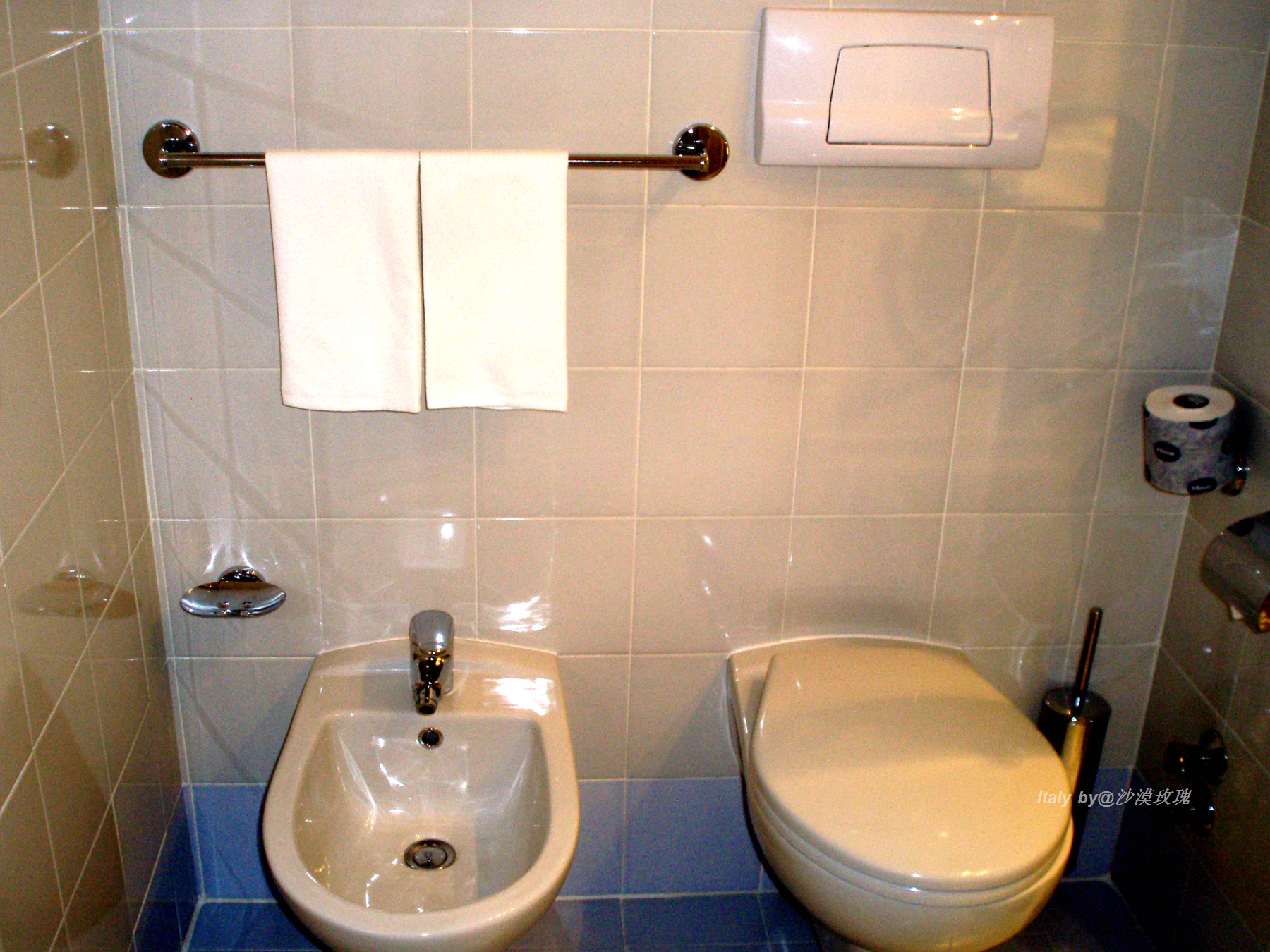 意大利厕所为什么有两个马桶,欧洲厕所为什么有2个马桶
