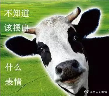 雅思5.5分怎么能快速提分到6.5,雅思5.5分保底方法