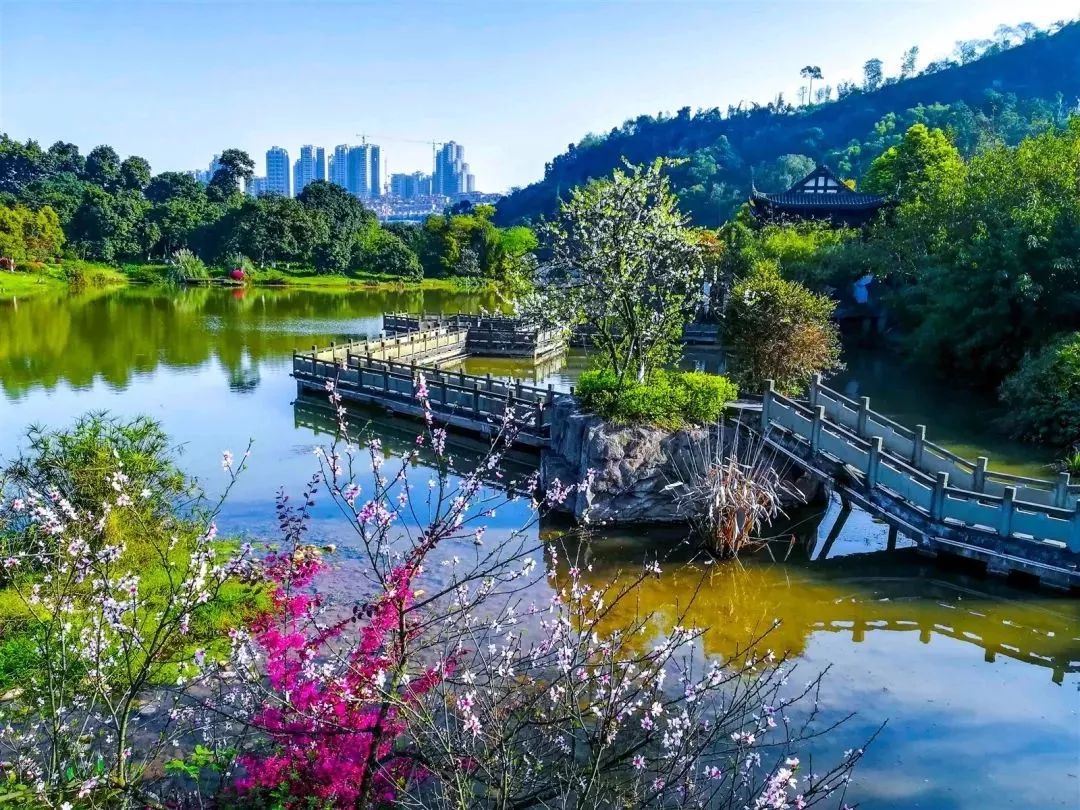 为家乡打call南通,为家乡打call重庆