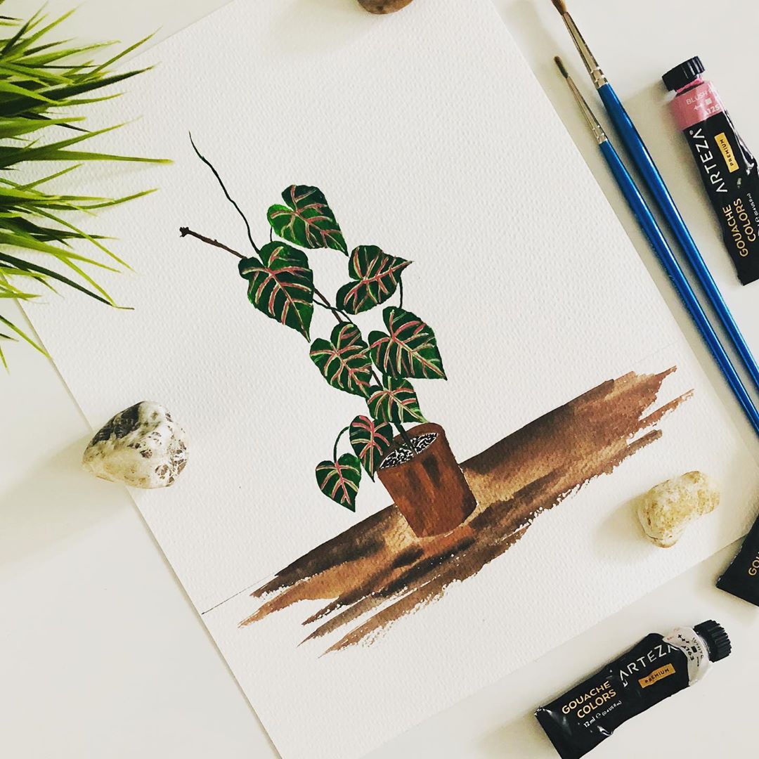 清新水彩手绘花卉插画,高级感的花卉插画