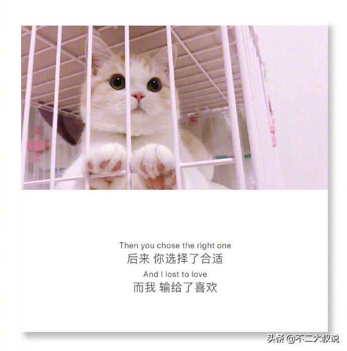 英汉互译的深情句子,中英文唯美爱情句子