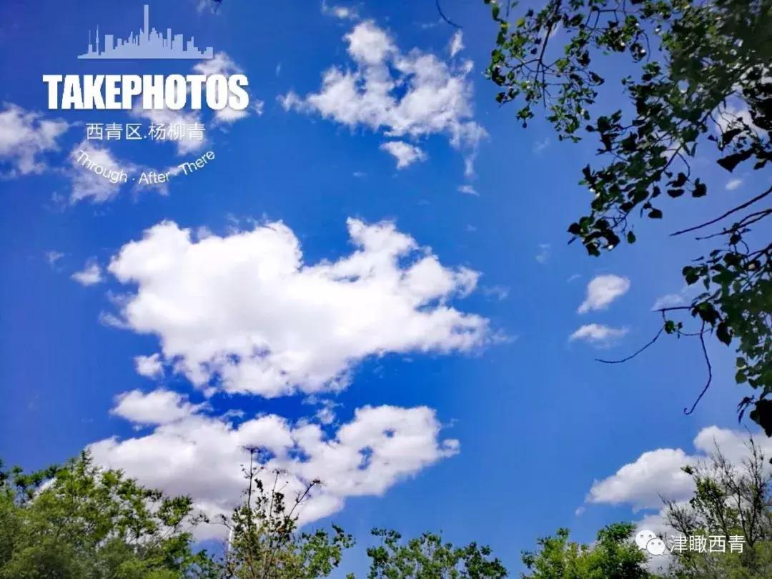 西青体育公园建在哪里,天津西青公园规划