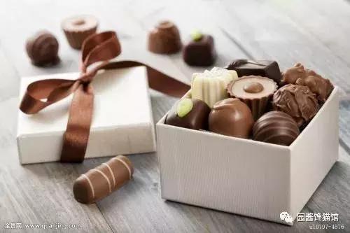 这是什么神仙巧克力？一颗要价7728欧元，全球限量1000颗