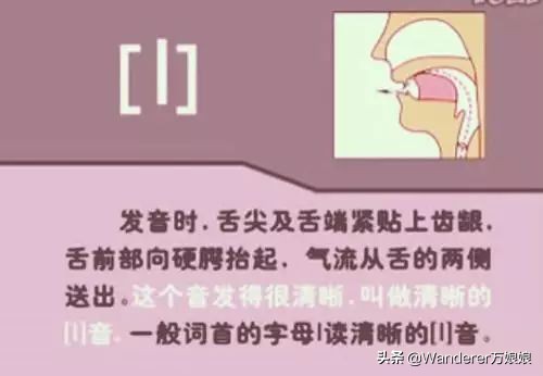 英语48个音标发音附详细图解,音标发音48个正确发音讲解视频