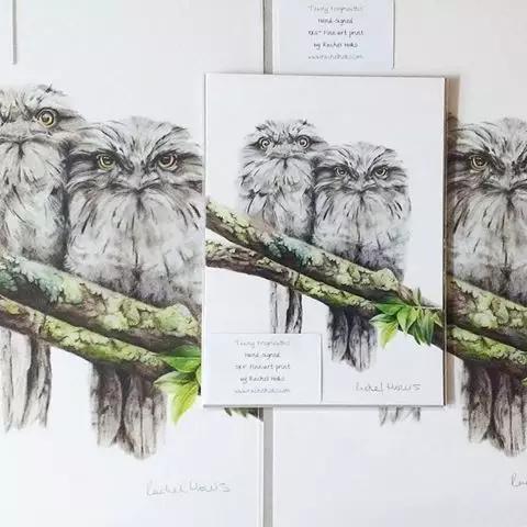 画鸟彩铅教程,画鸟彩铅