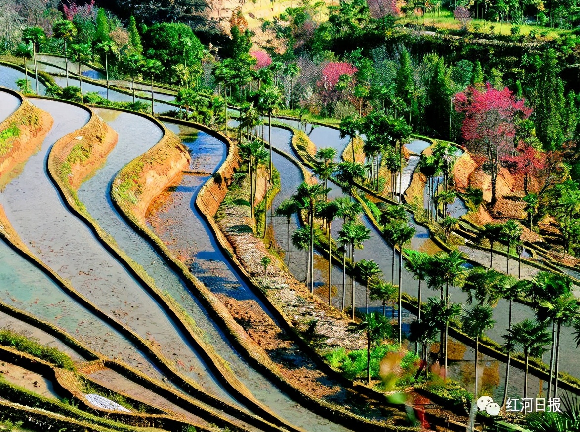 云南18个县城被评为天然氧吧,中国云南天然氧吧城市有哪几个