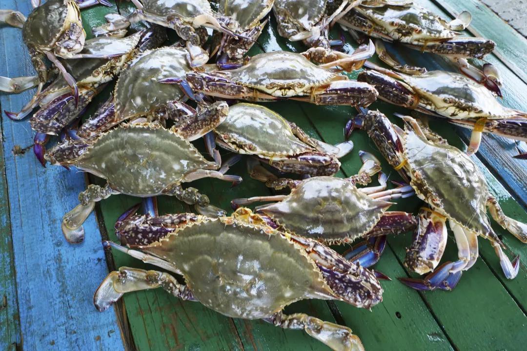 河北唐山海岛旅游攻略,唐山海岛