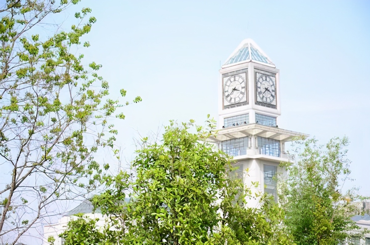 湖北高校风景,湖北风景最美的大学