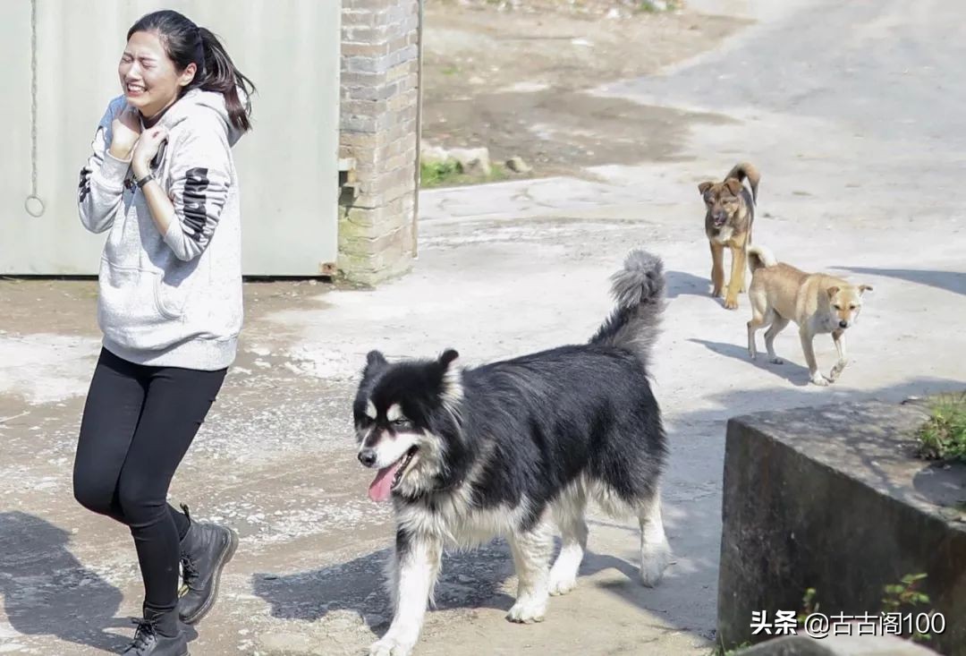 越王峥大峡谷：风景壮美，迷倒众生
