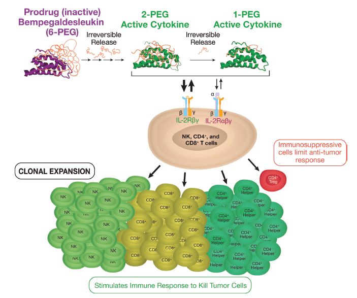 全球十大最神奇的疗法,创新细胞疗法
