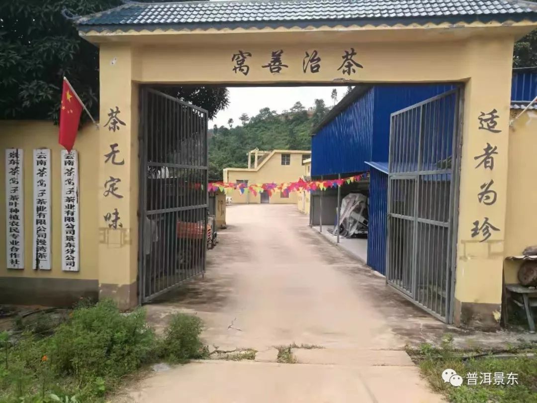 周文军：一个把茶窝子开到3个国家的景东人