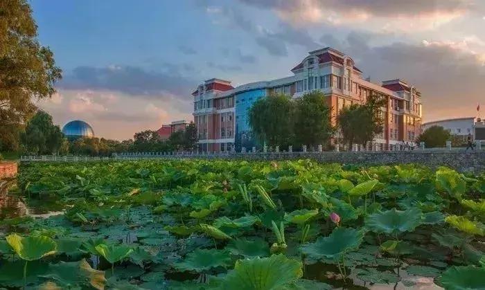 吉林华桥外国语学院现在怎么样了,吉林外国语大学最新消息