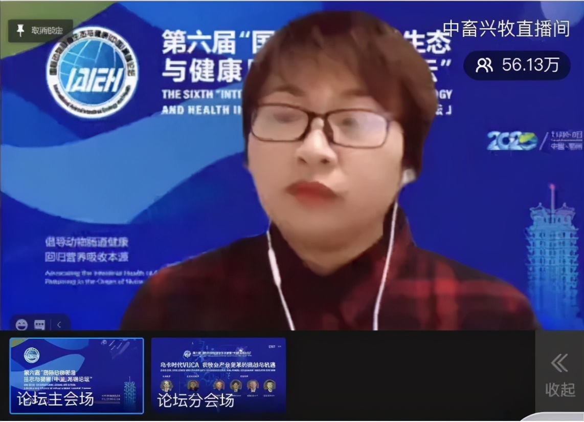 浅谈氧化锌的作用,氧化锌现状