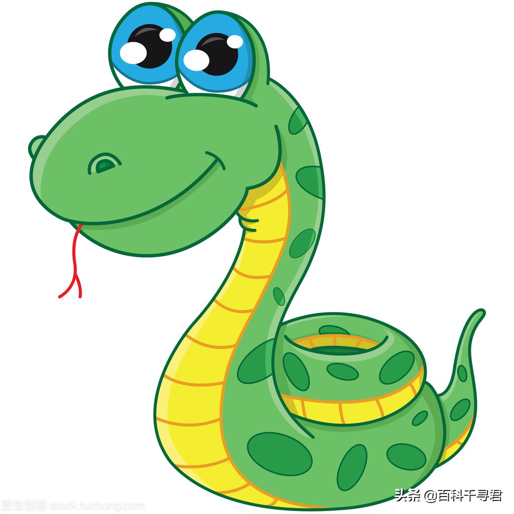 有哪些非常非常可怕的蛇类,人们最害怕的是大型蛇类