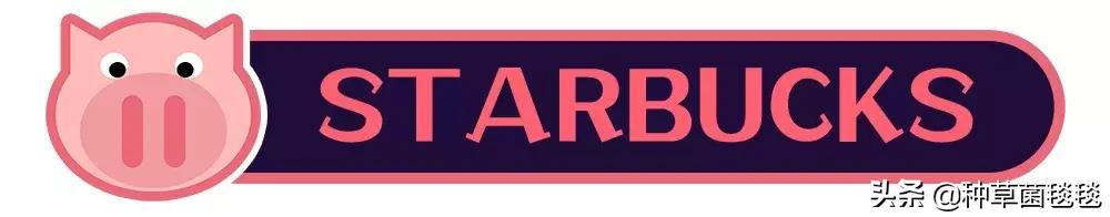 25块买啥,25块买什么东西