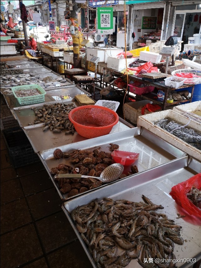 娴烽槼纰ф鍥紨鍞变細,娴烽槼涓佸瓧婀剧ⅶ妗傚洯