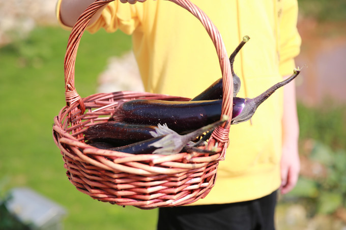 酒店亲子房主题房间,亲子儿童房酒店