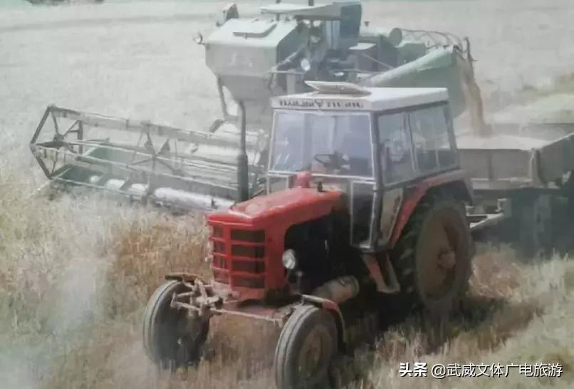 1959的武威老照片,武威老照片40里铺