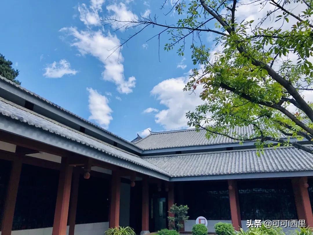 观念与灵魂的感悟,从一件小事到深度思考