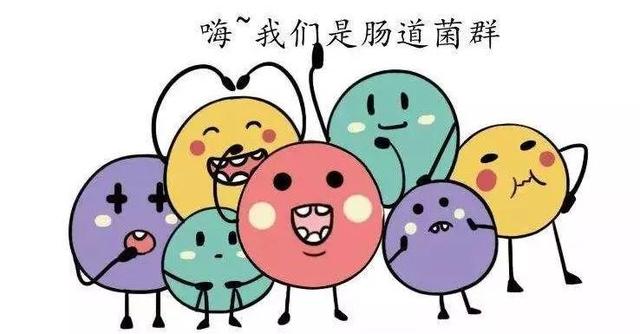 想吃什么是由肠道细菌决定的,肠道里的细菌分为多少类