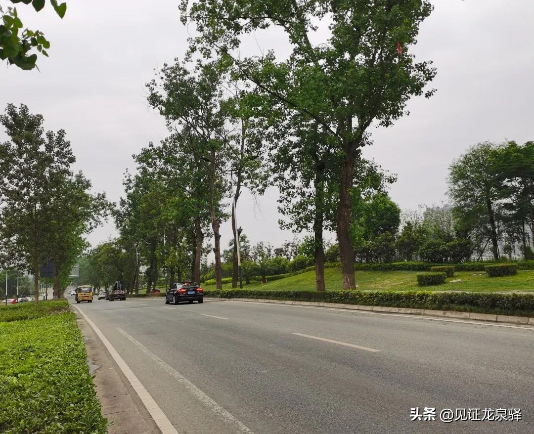 龙泉驿区最新交通消息,龙泉驿交通最新规划