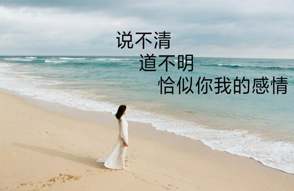 情不知为何物，泪不知为何流