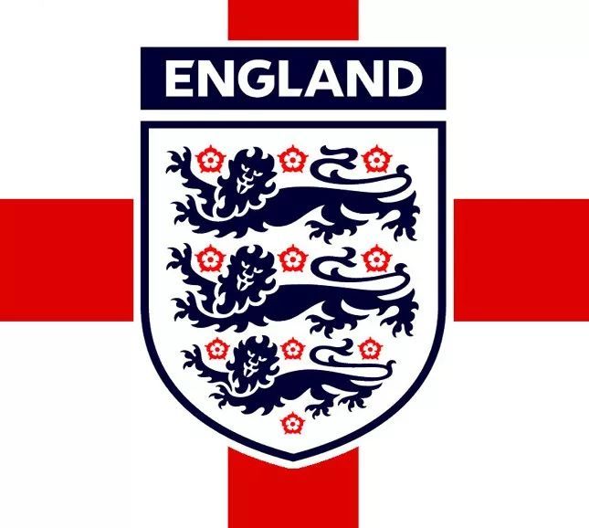 英超第一中场的竞争者,大卫席尔瓦的迷弟