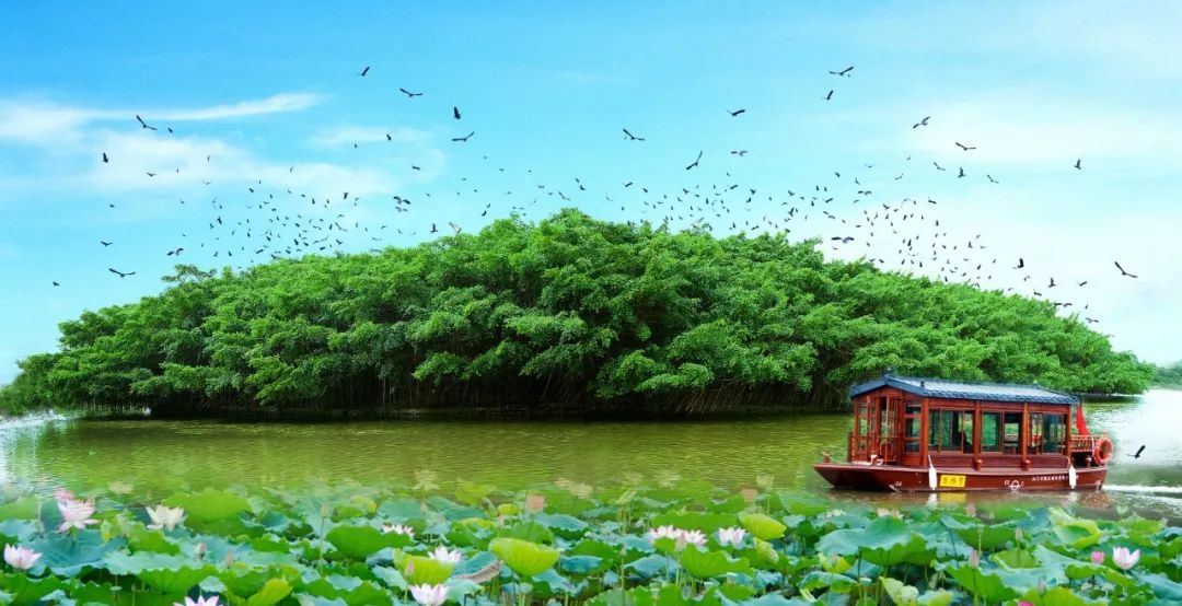 中秋爆惠！新会碧桂园549元=2大2小自助早晚餐+烤羊腿+西游儿童剧