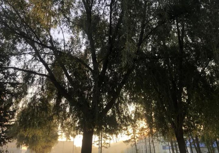 吉林农业科技学院在吉林省哪个市,2022吉林高校学科规模