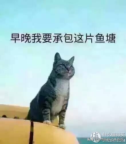 高端香炉香盒,线香高端香炉