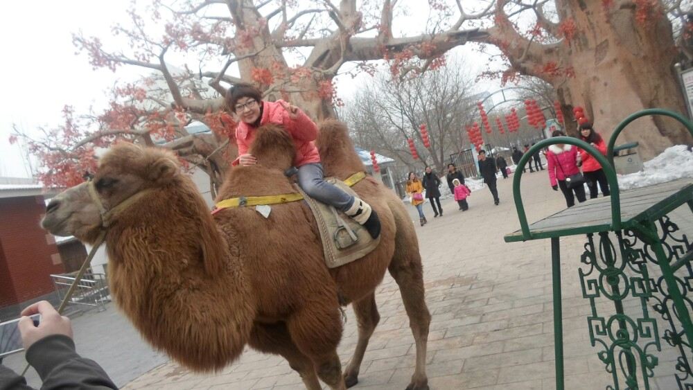 山西风景区有哪些好玩的景点推荐,山西哪里值得旅游景点推荐