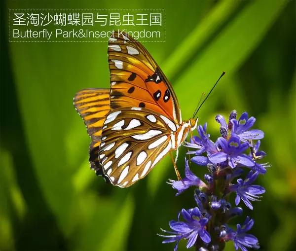 亲子游寒假去哪旅游最好,寒假孩子去哪旅游最好