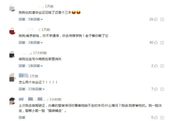 有一种痛,是你的宠物嫌你学历低了