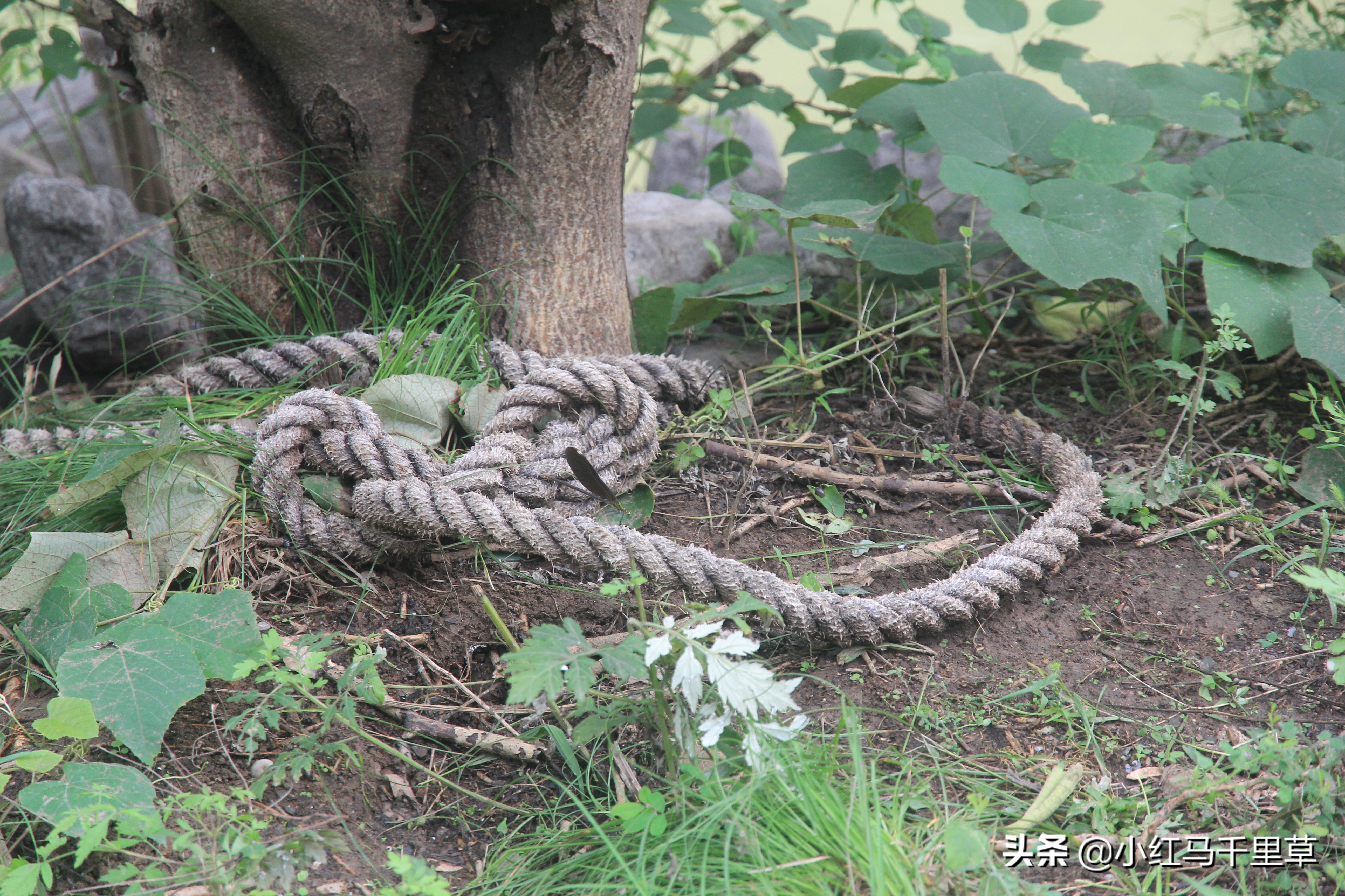 焦作云台山徒步攻略,河南云台山之旅