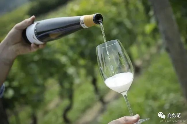 世界最好的起泡酒,列举三款世界最著名的起泡酒