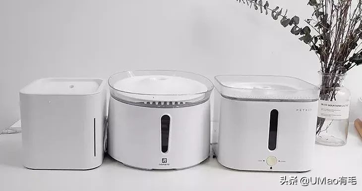 李佳琦叫卖都不管用！双十一猫咪用品这些坑得避