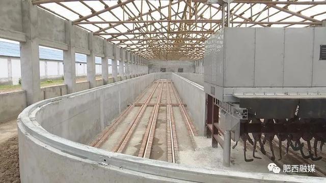 「壮丽70年奋斗新时代」肥西县农业农村局高级畜牧师董辉：开拓创新助推标准化养殖