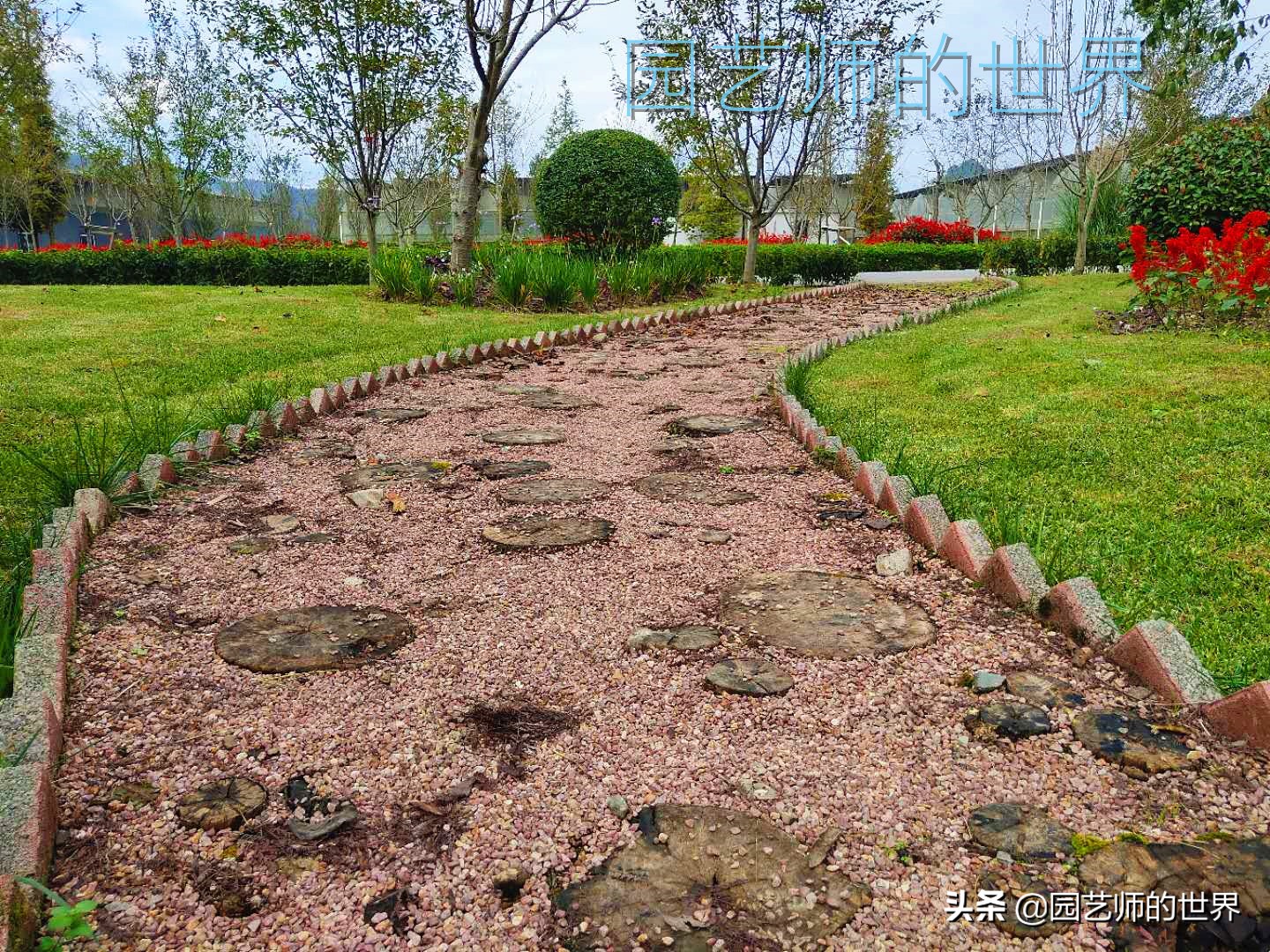 花园科学实验,花园案例及解析