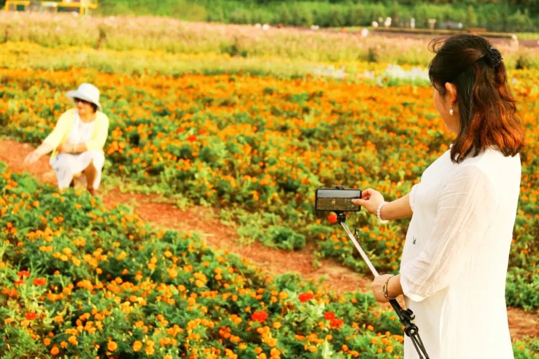 杜邑国家遗址公园,杜邑遗址公园和杜陵遗址公园